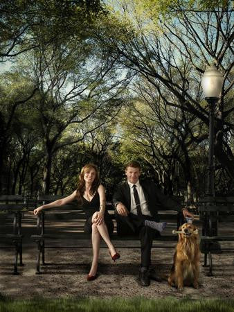 Bones Poster Park Bench 11x17 | The Poster Depot The Poster Depot