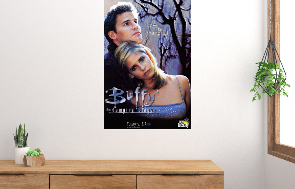 Buffy The Vampire Slayer Poster 16x24 16"x24"