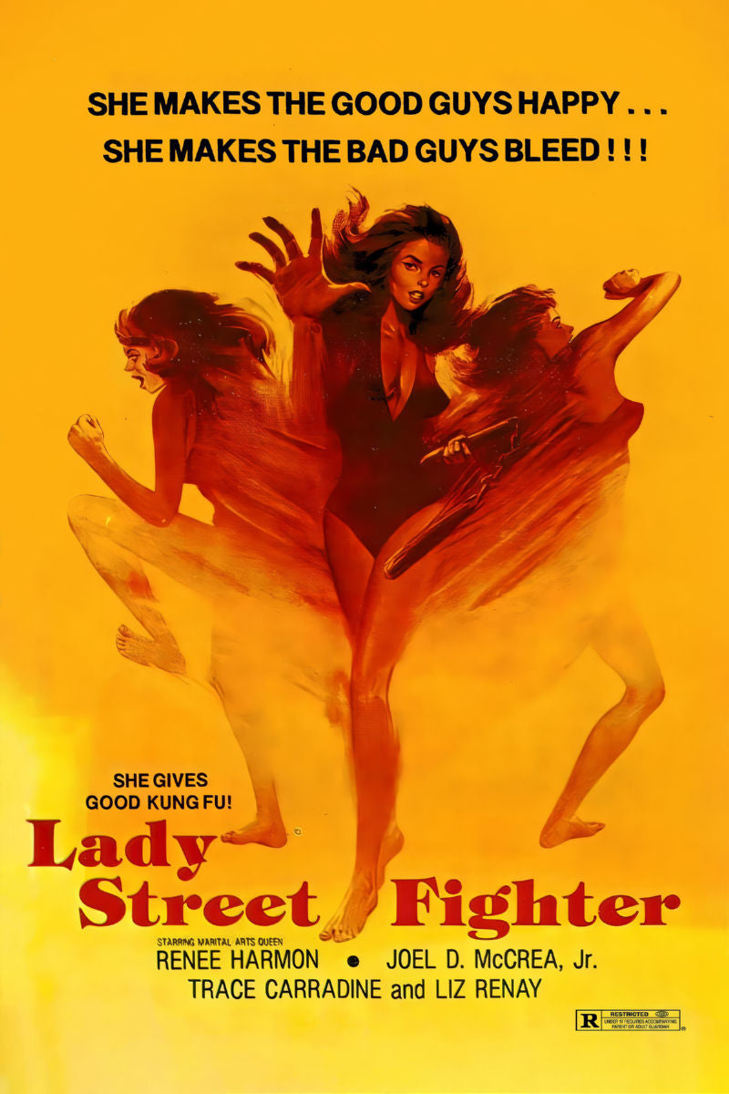 lady street fighter Movie Poster 16x24