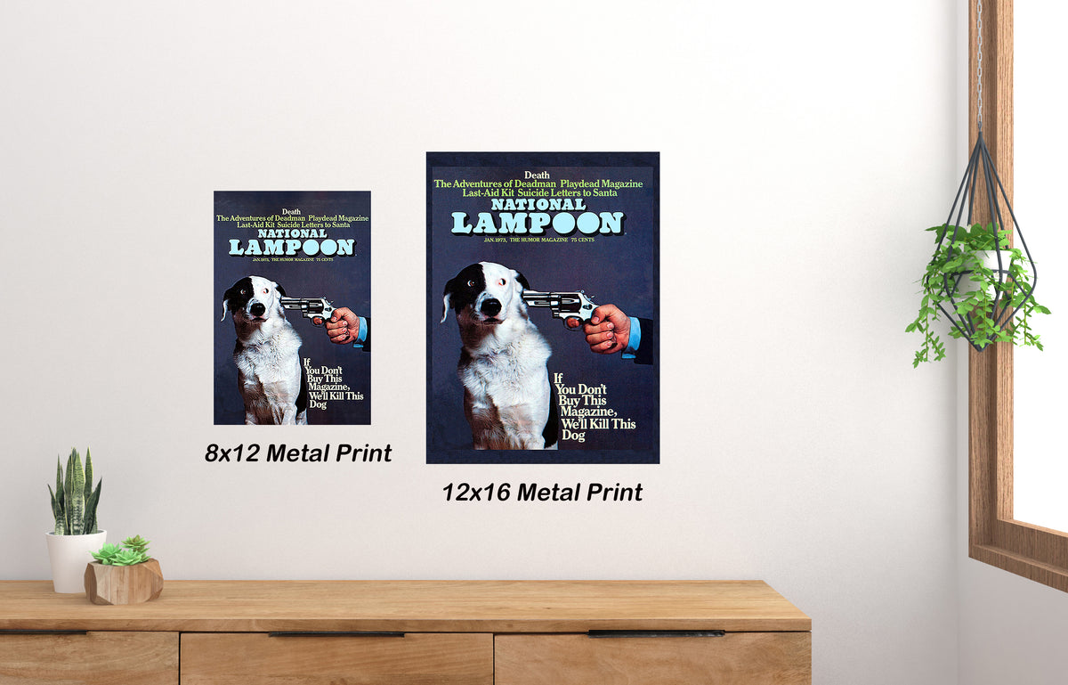 Nation Lampoon Cover This Magazine Or Mini posters ands.