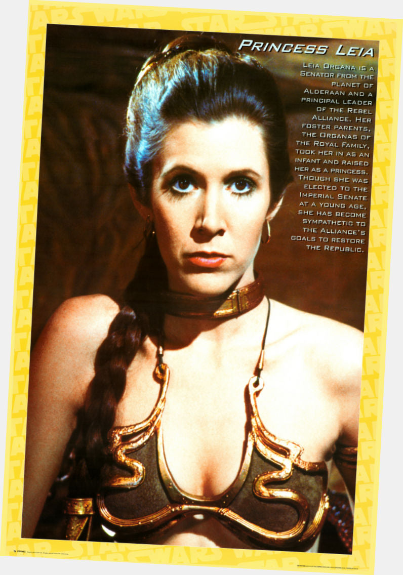 Princess Leia Movie Poster Vintage Art| The Poster Depot The Poster Depot