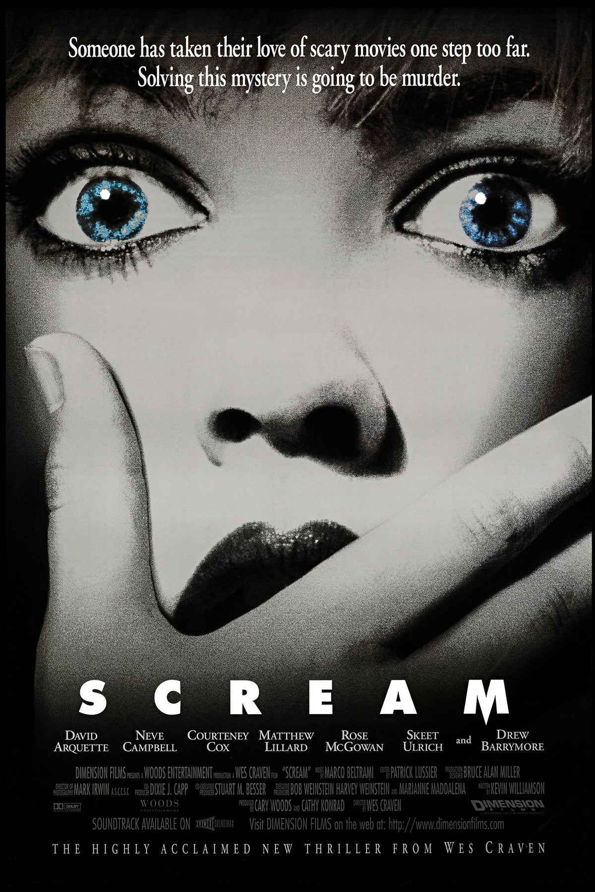 Scream poster 24in x36in The Poster Depot