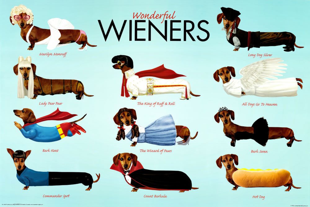 Wonderful Wieners Dachshund Poster 11x17 | theposterdepot.com The Poster Depot
