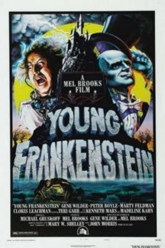 Young Frankenstein poster 24in x36in The Poster Depot
