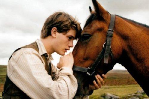 War Horse poster 16inx24in