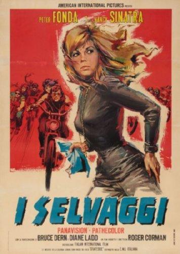 Wild Angels Italian poster 16inx24in