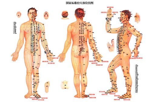 Acupuncture poster for sale cheap United States USA