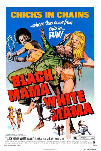 (24inx36in ) Black Mama White Mama poster