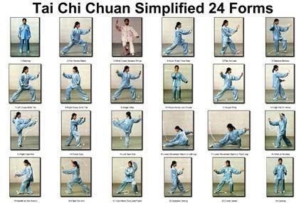Tai Chi Chuan 24 Forms Poster Metal Print 12"x16"