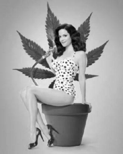 Weeds Poster Black and White Poster 27"x40" The Poster Depot
