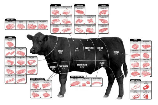 Beef Cuts Of Meat Butcher Chart cattle diagram Mini Poster 11inx17in poster