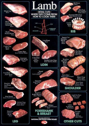 Lamb Cuts Cuts Of Meat Chart 11inx17in Mini Poster