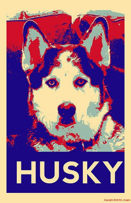 Siberian Husky Pop Art Poster Oversize On Sale United States