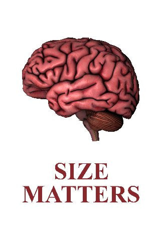Human Brain Size Matters Art Poster 27inx40in The Poster Depot The Poster Depot
