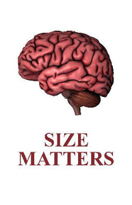 Human Brain Size Matters Art Poster 27"x40" 27x40 Oversize