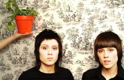Tegan And Sara poster #01 24x36 24inx36in The Poster Depot