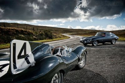 Jaguars poster 11x17 Large The Poster Depot