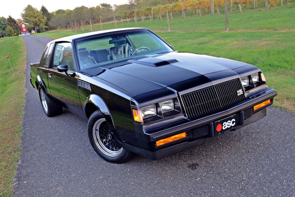 1987 Buick Gnx Poster 16
