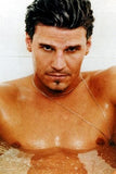 David Boreanaz 11x17 poster 11x17 for sale cheap United States USA