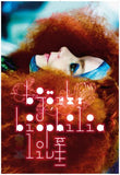 Bjork 11x17 poster for sale cheap United States USA