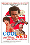 Cool Red 11x17 poster for sale cheap United States USA