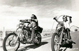 Easy Rider poster 11x17 The Poster Depot