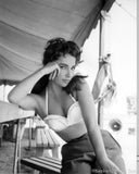 Elizabeth Taylor 11x17 poster bw photo for sale cheap United States USA