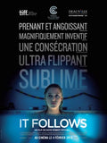 It Follows 11x17 poster for sale cheap United States USA