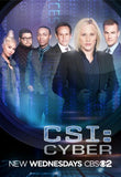 Csi Cyber 11x17 poster for sale cheap United States USA