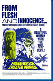 Frankenstein Created Woman poster 11x17 The Poster Depot
