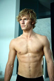 Alex Pettyfer 11x17 poster 11x17 for sale cheap United States USA