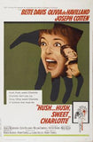 Hush Hush Sweet Charlotte 11x17 poster for sale cheap United States USA