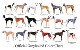 Dogs Greyhound Color Chart 11x17 poster for sale cheap United States USA