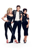 Grease Live Cast 11x17 poster 2016 for sale cheap United States USA