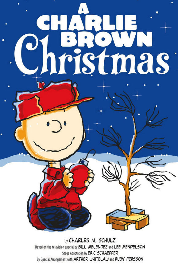 A Charlie Brown Christmas Poster - 16x24