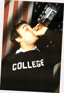 Animal House Movie 11x17 poster for sale cheap United States USA