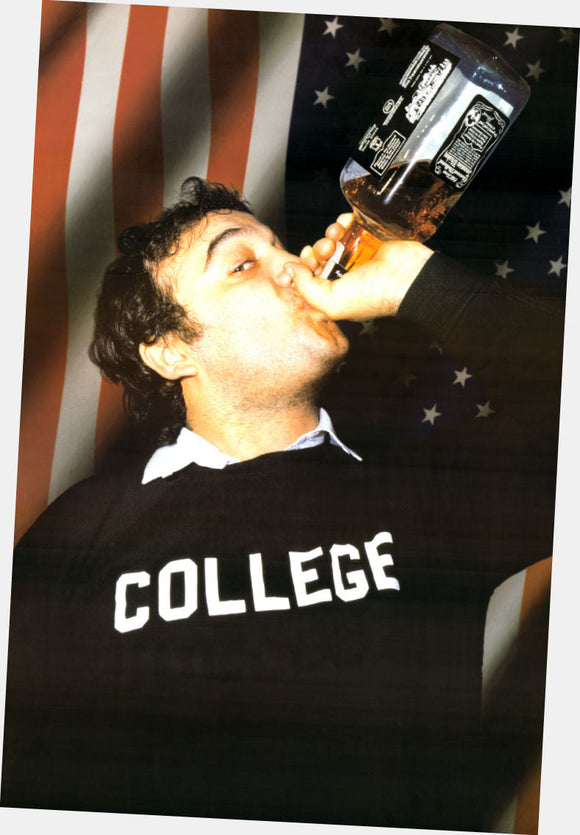 Animal House Movie 11x17 poster for sale cheap United States USA