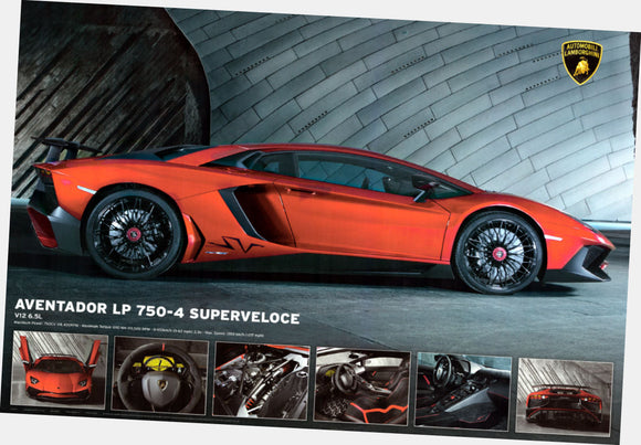 Lamborghini aventador Poster