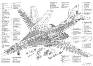 B1 Bbomber  Cutaway Diagram  Poster 16"x24" 16inx24in