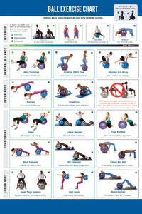 Ball Exercise Chart 11x17 poster for sale cheap United States USA