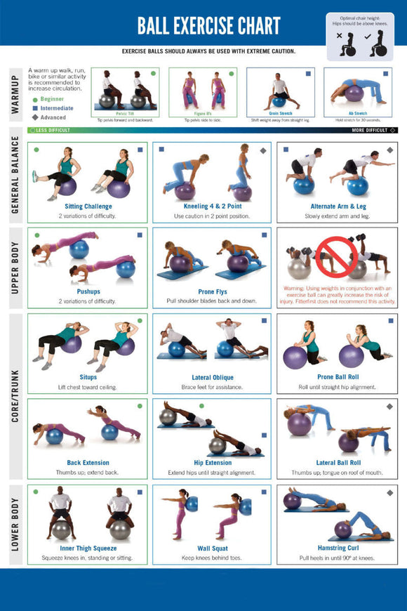 Ball Exercise Chart 11x17 poster for sale cheap United States USA