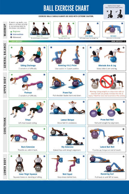 Ball Exercise Chart Poster 16"x24"