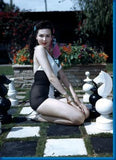 Ann Miller Chessboard 11x17 poster for sale cheap United States USA