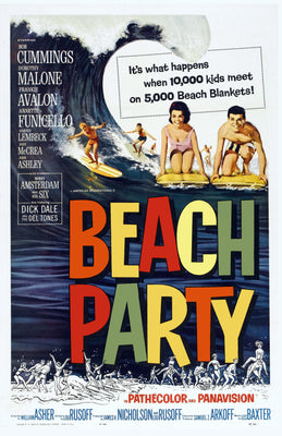 Beach Party poster 24x36