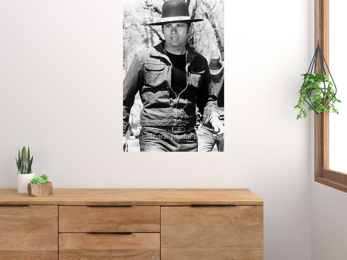 Billy Jack Tom Laughlin Movie Poster 27x40 27"x40" #5012401 The Poster Depot
