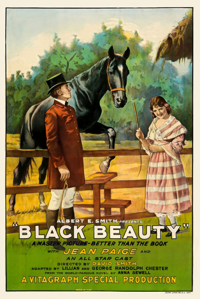 Black Beauty 1921  Movie Poster 27x40 27"x40"