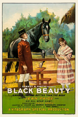 Black Beauty 1921  Movie Poster 16x24 16"x24" The Poster Depot
