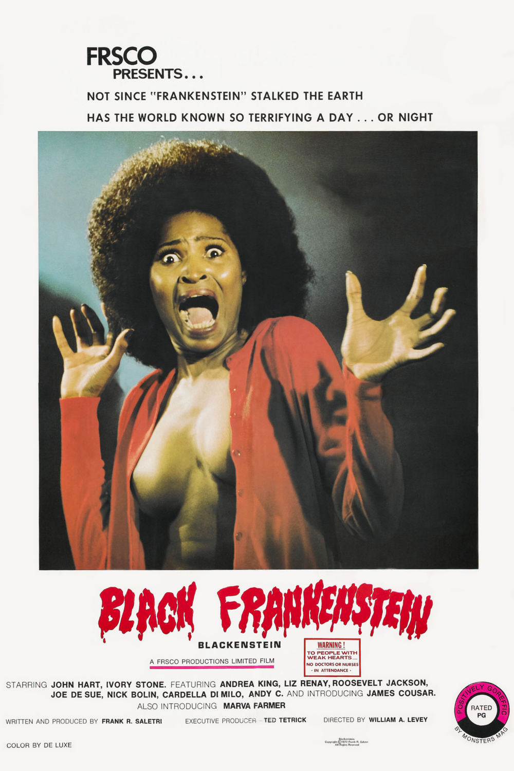 Blackenstein Movie Poster - 24"x36" The Poster Depot