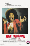 Blackenstein Movie Poster - 16"x24" The Poster Depot