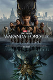 Black Panther: Wakanda Forever Movie Poster 24"x36" The Poster Depot